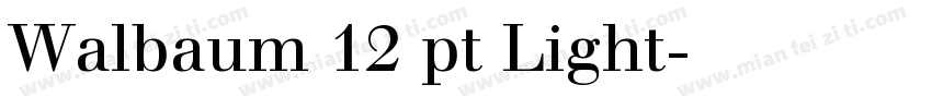 Walbaum 12 pt Light字体转换